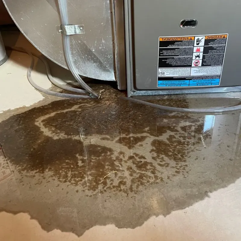 Pipe Burst and Leak Restoration in Dubois County, IN