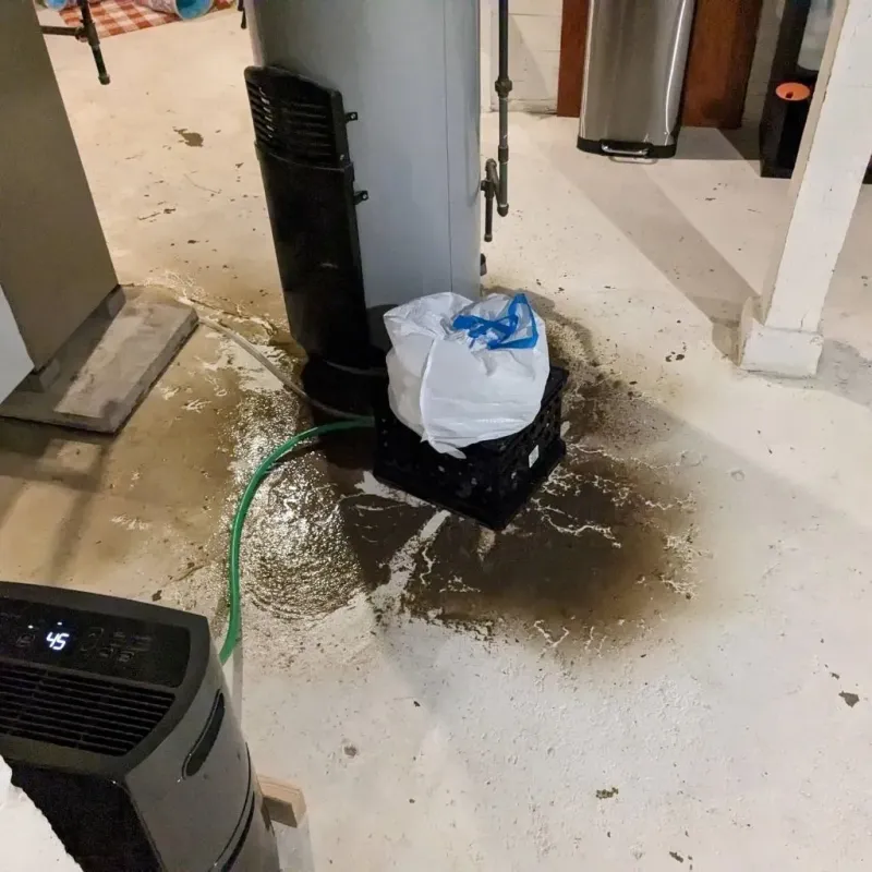 Sewage Backup Cleanup Service in Dubois County, IN